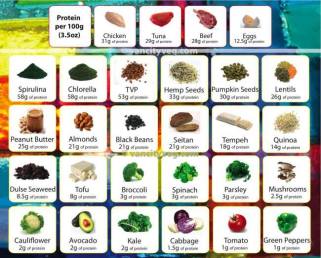 protein-chart-meat-veg-etc